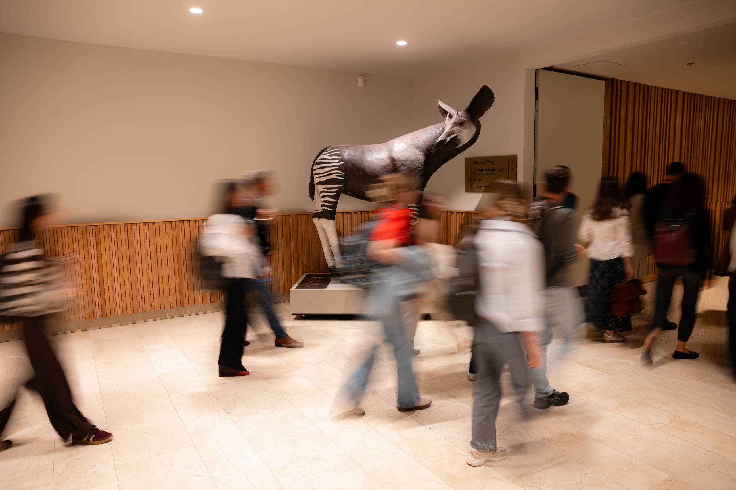 people moving between sessions at the esb 2026 congress